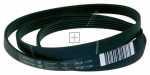 Poly v belt - 1199j5el 1462477009 Belt [Electrolux Aeg]