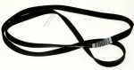 Poly v belt - C00375174 481935818134 Belt [Whirlpool Indesit]