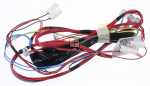 Harness - 8088471050 Harness Pcb Door [Electrolux Aeg]